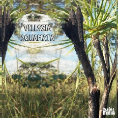 SET V/A VELLOZIA SQUAMATA BY DJ BHARGO