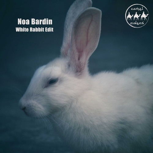 Stream FREE DOWNLOAD: Noa Bardin - White Rabbit Edit by 𝘾𝙖𝙢𝙚𝙡  𝙍𝙞𝙙𝙚𝙧𝙨 | Listen online for free on SoundCloud