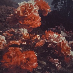 lord kael helps me study