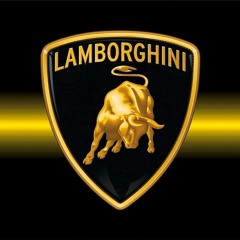 lamborghini ft. Lynx