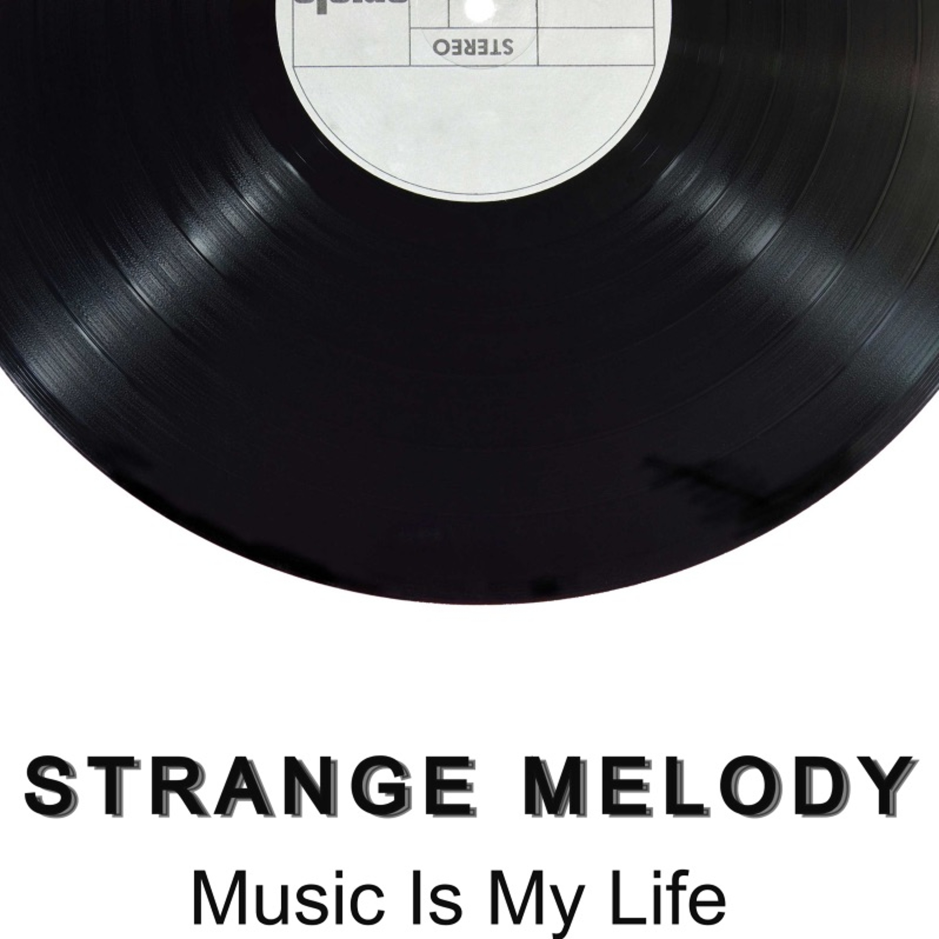 Track cover
