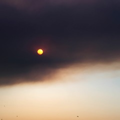 The Pursuit
