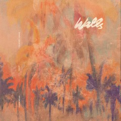 walls w/ Youp & Thierry Ganz (Majestic Casual Records)