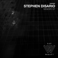 PREMIERE: Stephen Disario - Memory - Say What? Recordings