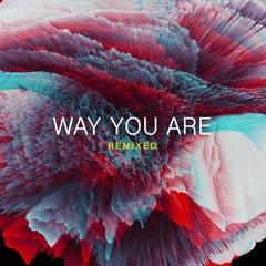 Way You Are (Venimelter Remix)