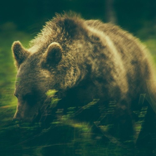 Warmth - Shine (with Pepo Galán)