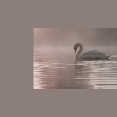 Home (BTS) - Reharmonized/Remix