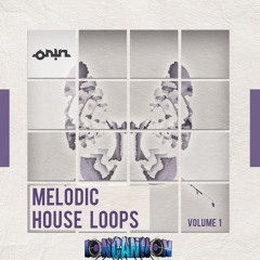 Melodic House Loops