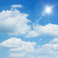 みんな天気の子見た？