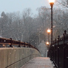 I Wonder As I Wander