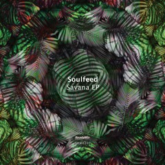 PREMIERE: Soulfeed - Savana (Hernan Cerbello Remix) [Ready Mix Records]