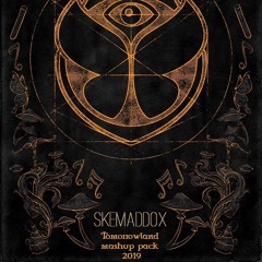 Tomorrowland VIP edit PACK
