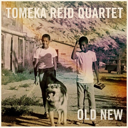 Tomeka Reid Quartet "Old New" from "Old New" (Cuneiform Records)