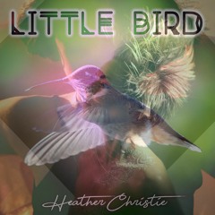 EXCLUSIVE PREVIEW:  Little Bird by Heather Christie (Jumpsuit Records)