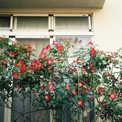 Canon in D (piano and guitar)