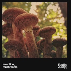 invention_ - mushrooms