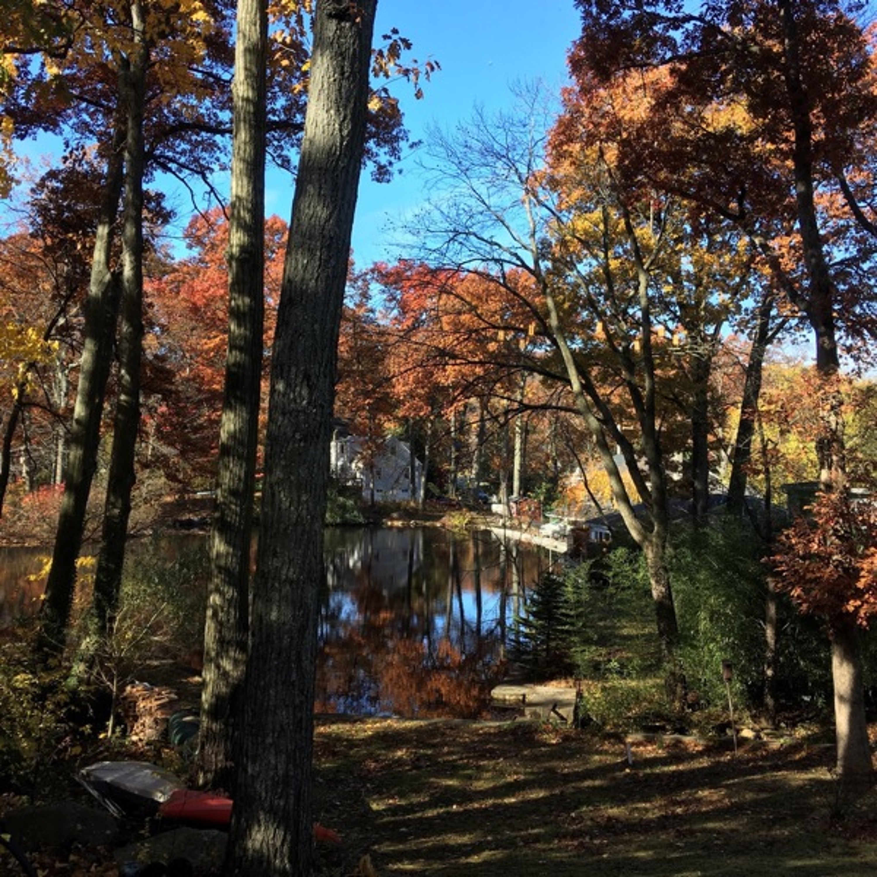 Songs from the Wood Between the Worlds
