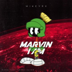 Marvin I Am