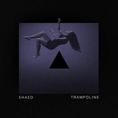SHAED - Trampoline (Jauz Remix)(Magnus Edit) FREE DOWNLOAD