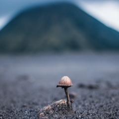 A Grounding Practice