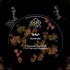 Br!tch - On The Limit (Original Mix) [Natural Rhythm]