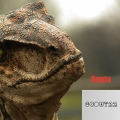 Scout 22 - RAPTA