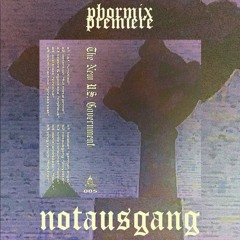 Premiere #51  Notausgang - Polyester [NEWUSG005 // Various Artists]