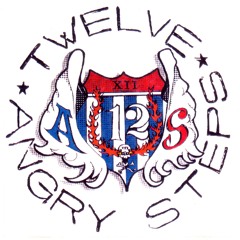 03. Evelyn - 12 Angry Steps - 3 Song Promo