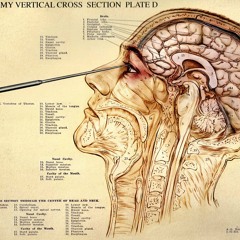 Transorbital Lobotomy