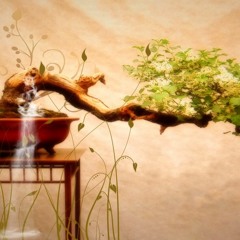 Torna A Surriento - Originally by Pavarotti style Cover