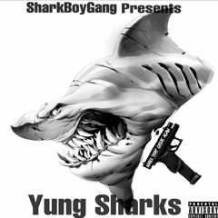 SharkBoyGang- YUNG SHARKS