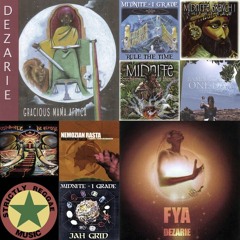 #193 / REGGAE / Virgin's Islands Tribute Mix
