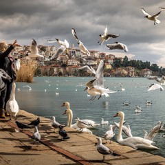 Terey Hondyan Sondyan Mehbooba (Nusrat Fateh Ali Khan)