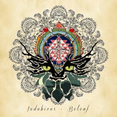Indubious - Fabric Of Creation