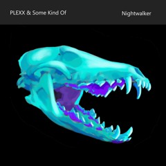 PLEXX & Some Kind Of - Nightwalker