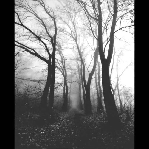 KILL MIDNIHT "HXNGXNG GXRDXN"