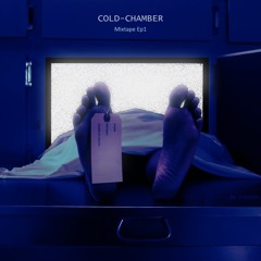 Digital Fighter - Cold-Chamber (Mixtape)