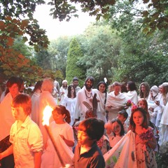 Hummingbird In The Forest