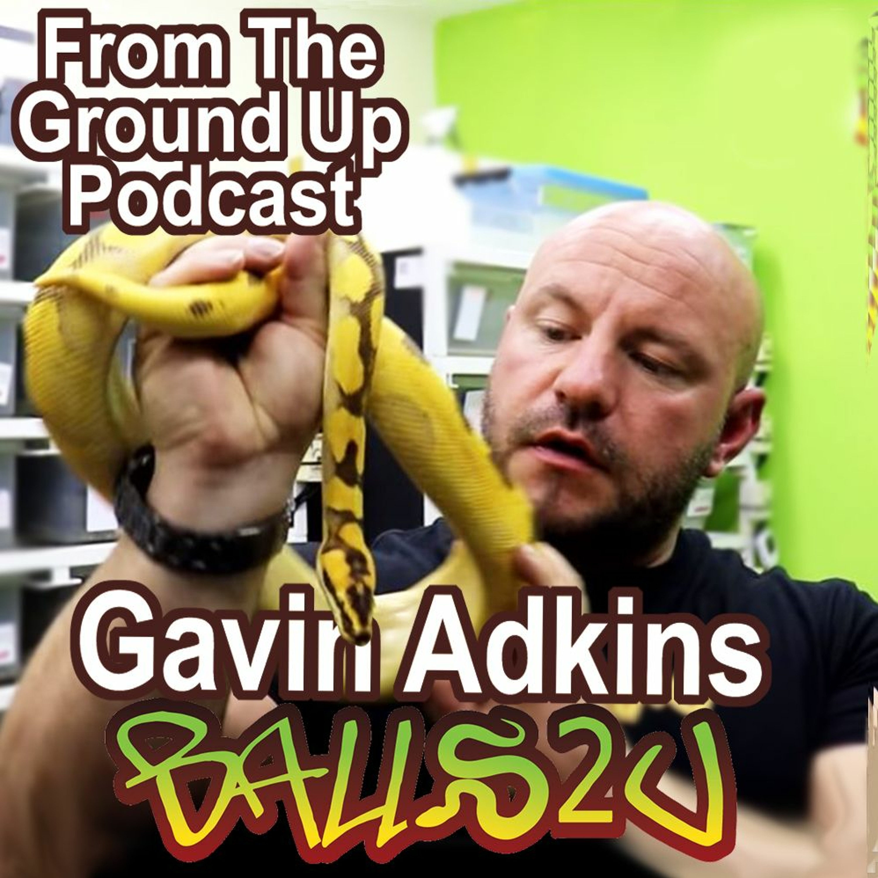 BALLS2U W/ Gavin Adkins