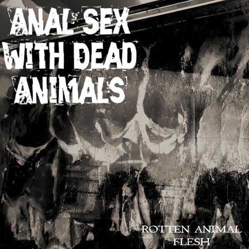 Animal Sex Anal / Популярные Страница 1