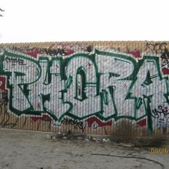phora -Graff History