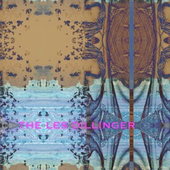 DOG BEACH #22 (acoustic version) - The Le$ Dillinger