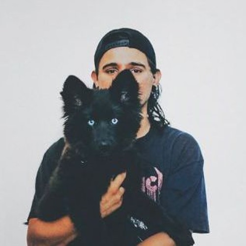 Skrillex - Fuji Opener (beastboi flip)