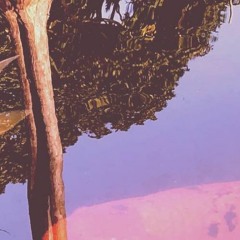 remnants... [LFF123] {winning entry}