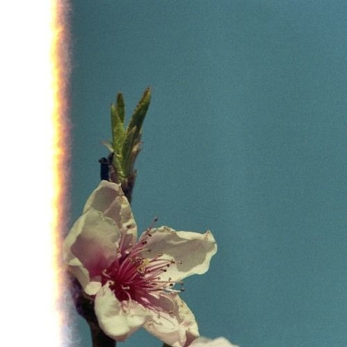 lofi