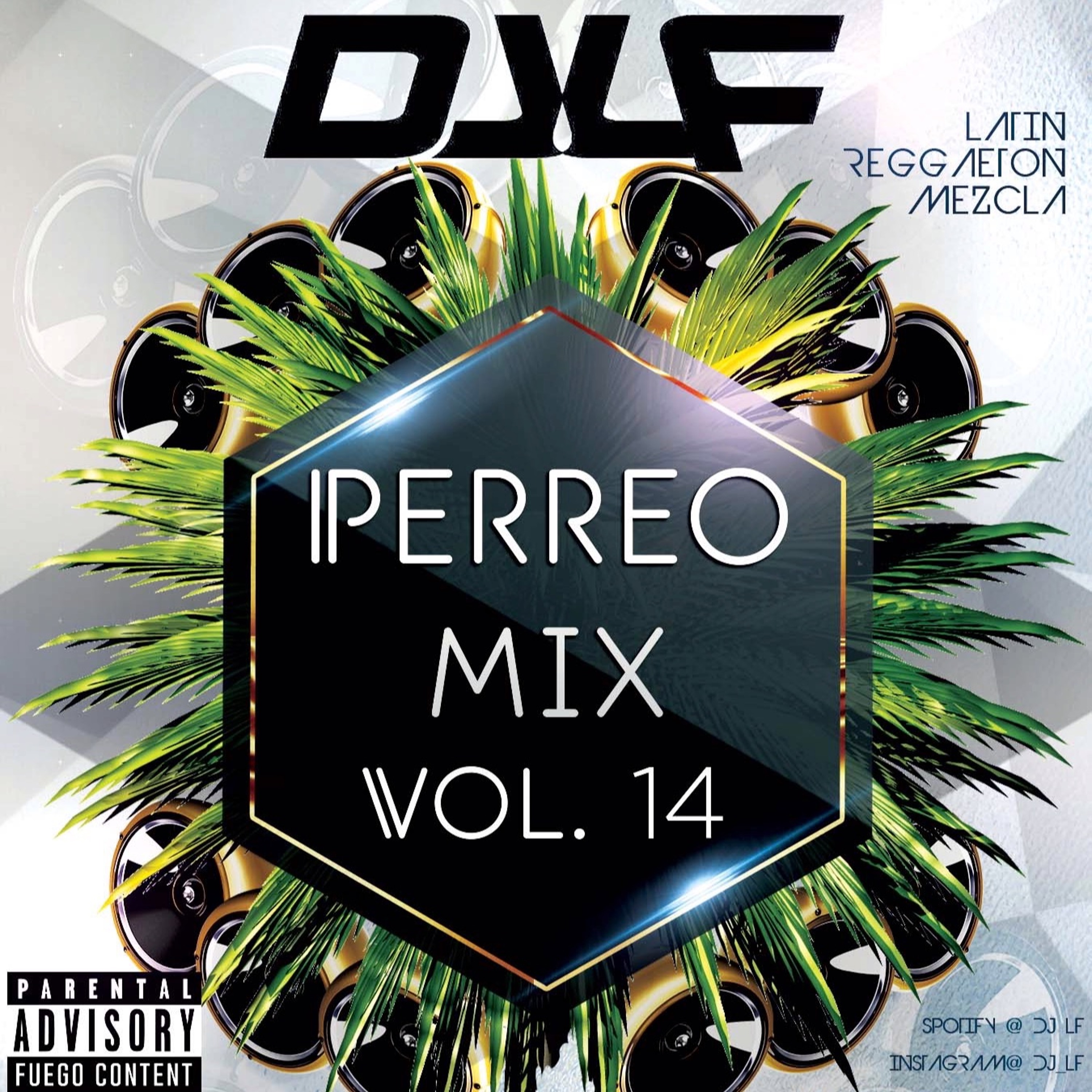 DJ LF - Perreo Mix Vol. 14 Latin/Reggaeton Mezcla
