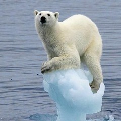 Fading into a Memory