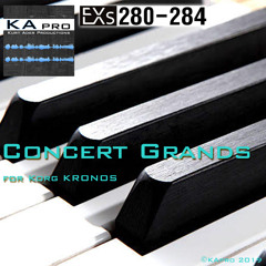 Etude Op. 10-12 Revolution [U-G049] (PJ)