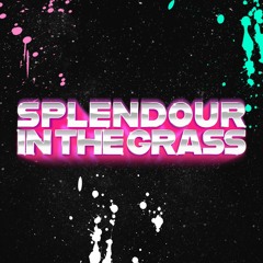 Splendour in the Grass // 2019 // Live @ Carlton Dry Stage