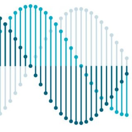 Separate Signal - First Zillion
